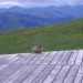 BerghotelHahnenmoospass2005 (10)