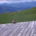BerghotelHahnenmoospass2005 (11)