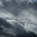 IMG_7179