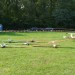 SeglerClassicsLSGLoechgau (5)