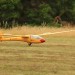 IMG_6352