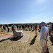 IMG_0395
