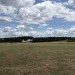 IMG_0441