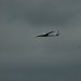IMG_6095