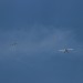 IMG_7064