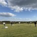 IMG_0165