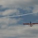 IMG_6783